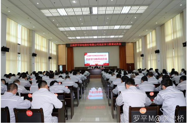 开云(中国)召开党史学习教育动员会